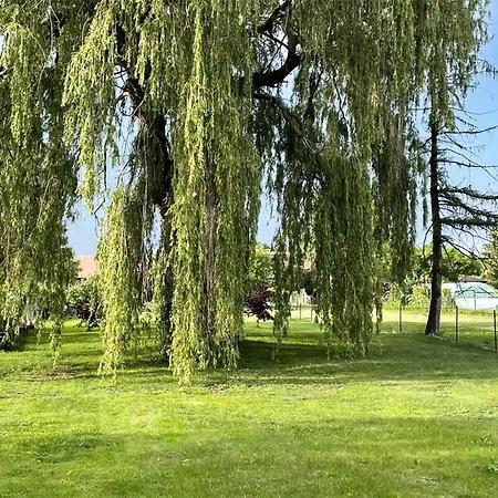 Lovely In * Nowe Warpno